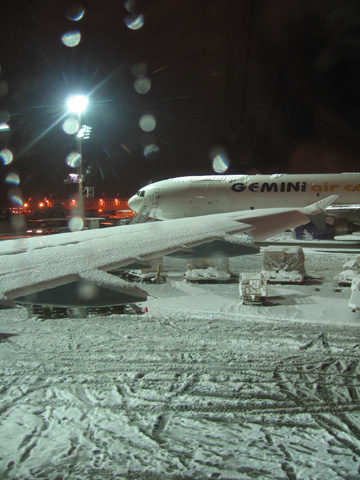 060303wing.jpg
