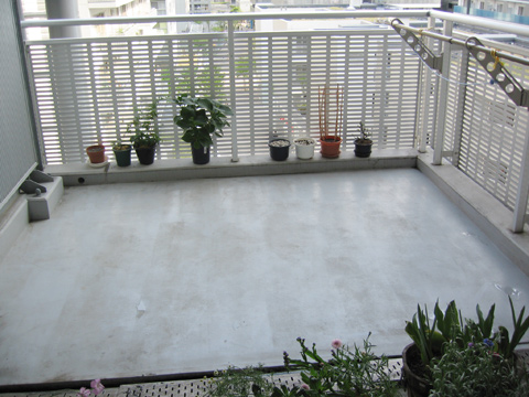 20070512veranda.jpg